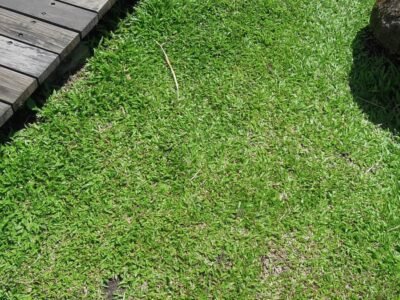 Landscaper company Solihull