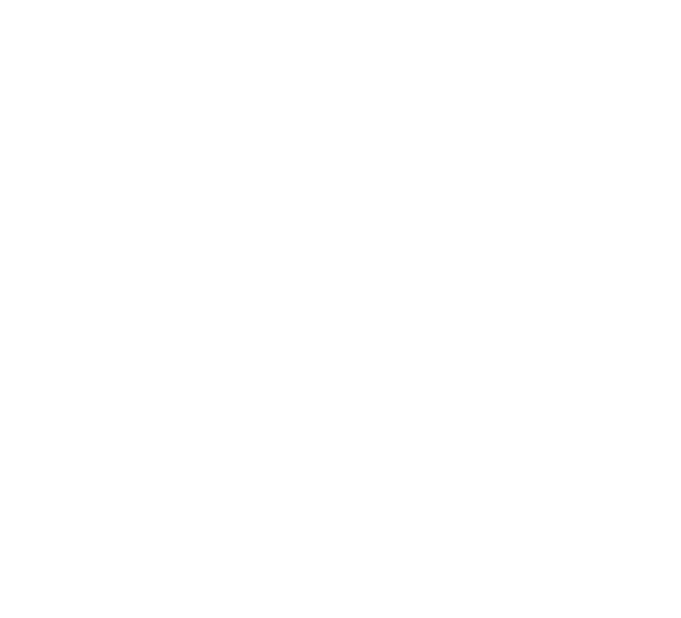 Professional Landscaper contractors in Solihull