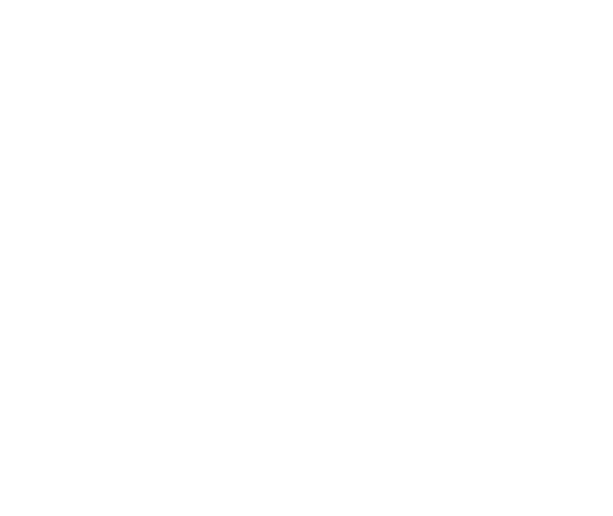 Solihull Landscaper contractors