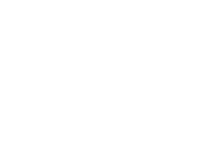 Professional Landscaper services in Solihull